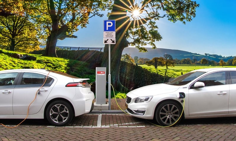 Environmentally Conscious Choices